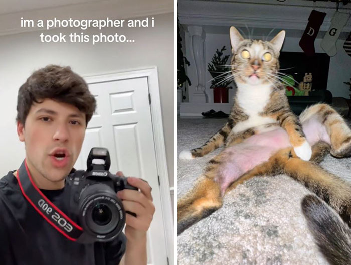 I-Am-A-Photographer-Tiktok-Trend-Funny