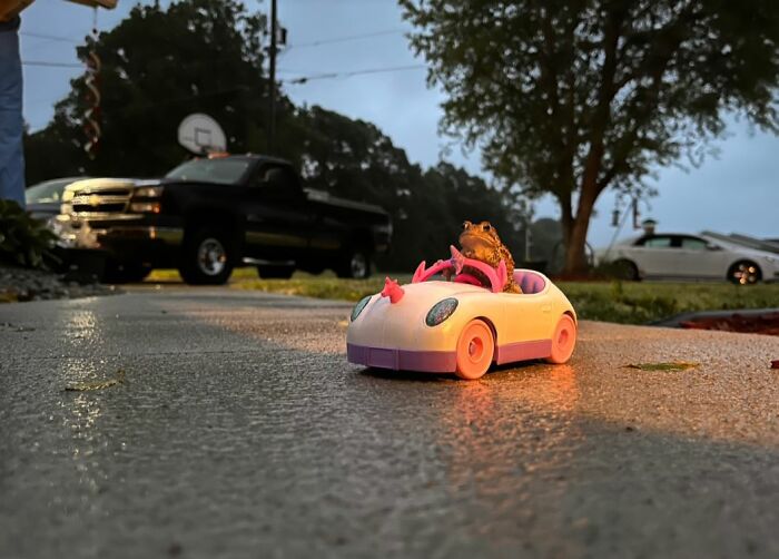 I-Am-A-Photographer-Tiktok-Trend-Funny