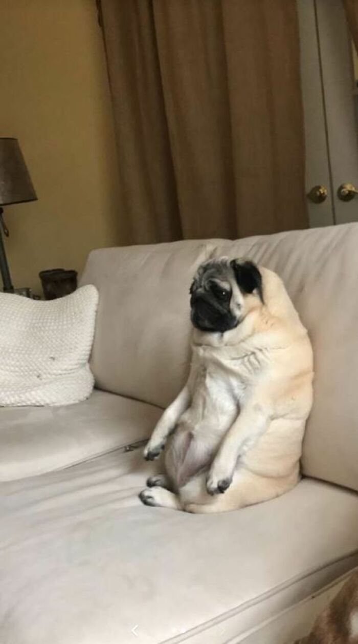 I-Am-A-Photographer-Tiktok-Trend-Funny