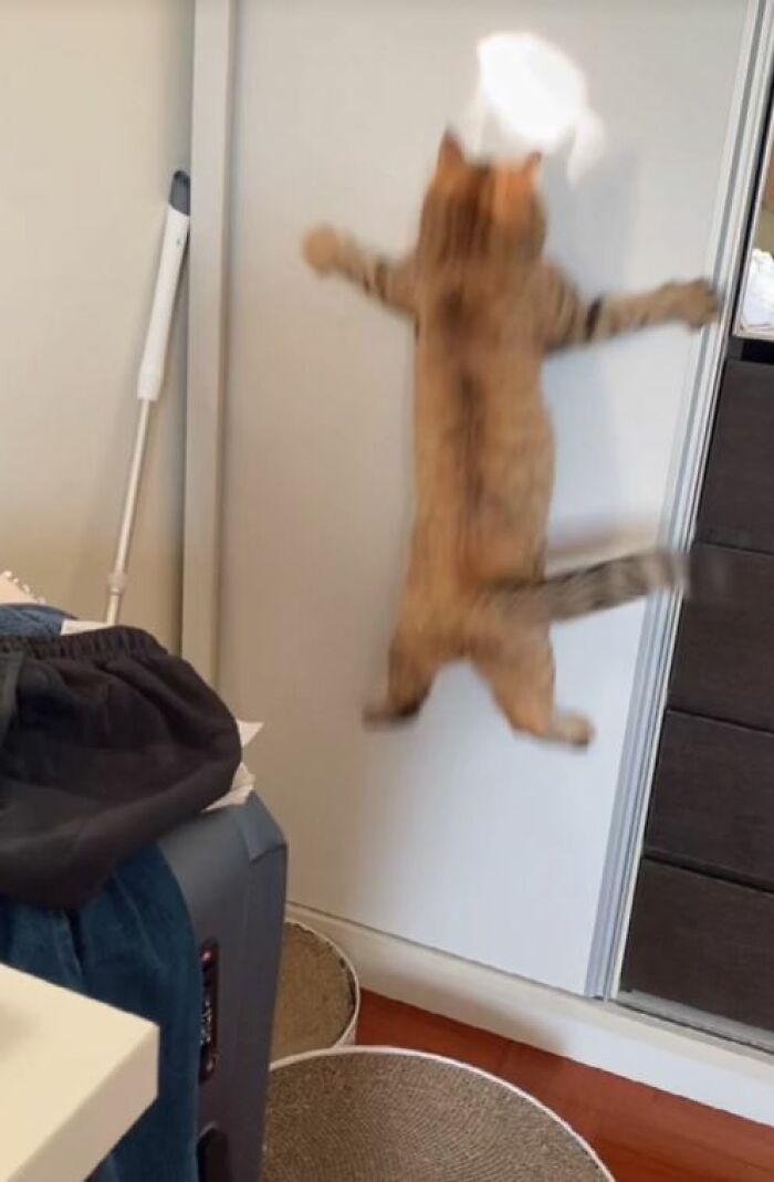 I-Am-A-Photographer-Tiktok-Trend-Funny