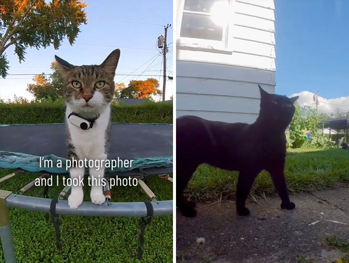 I-Am-A-Photographer-Tiktok-Trend-Funny