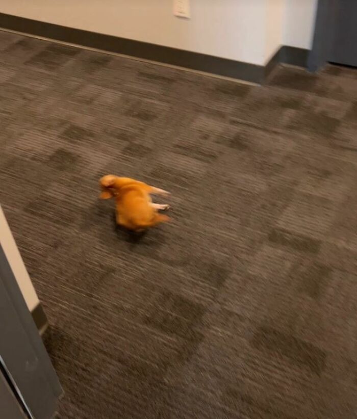 I-Am-A-Photographer-Tiktok-Trend-Funny