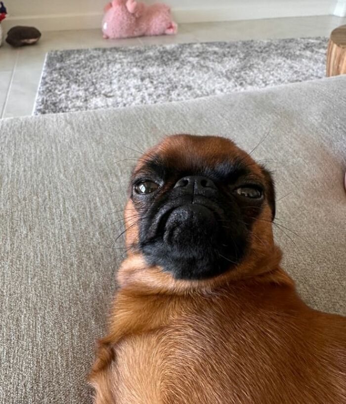 I-Am-A-Photographer-Tiktok-Trend-Funny