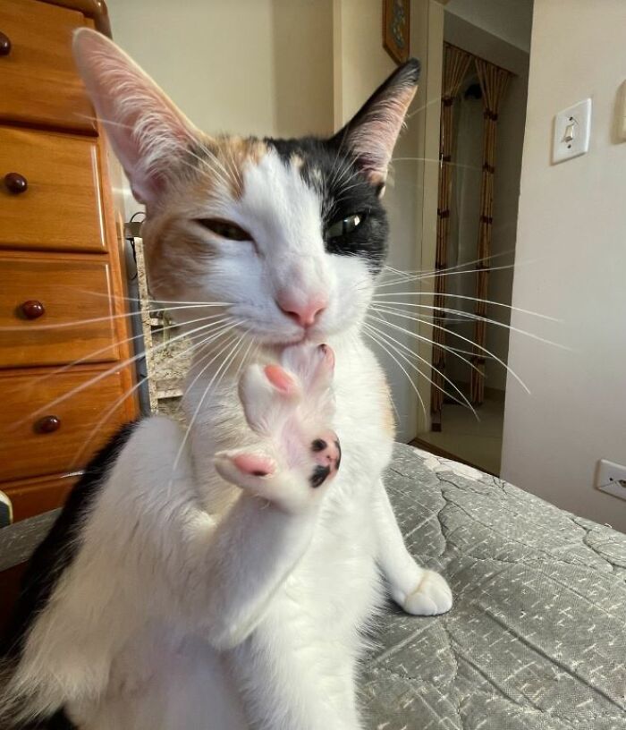 I-Am-A-Photographer-Tiktok-Trend-Funny