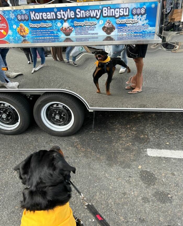 I-Am-A-Photographer-Tiktok-Trend-Funny