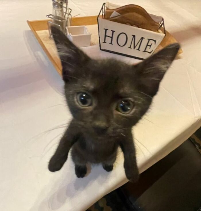 I-Am-A-Photographer-Tiktok-Trend-Funny