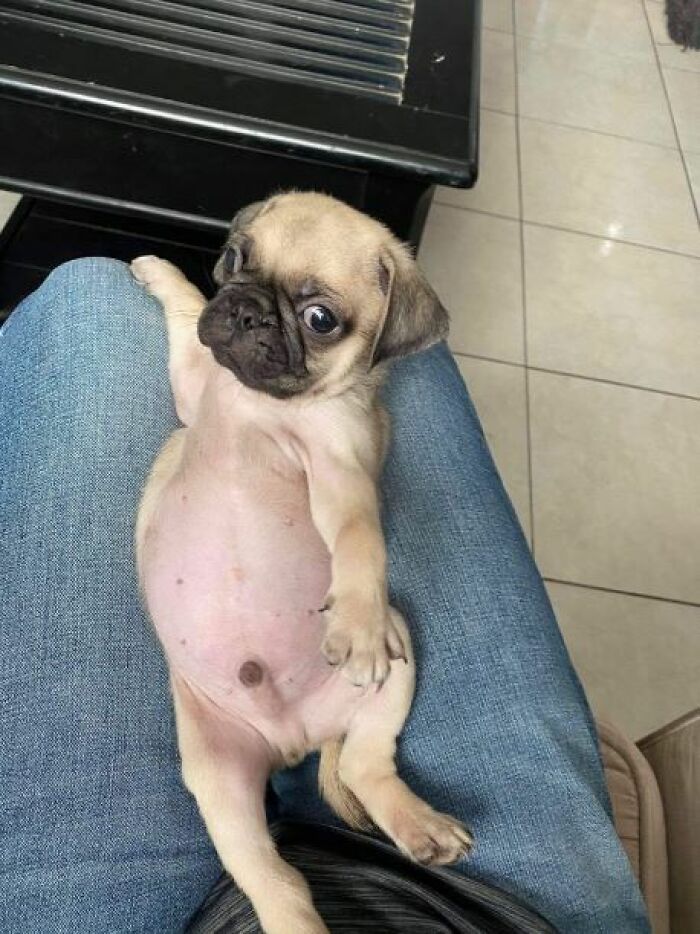 I-Am-A-Photographer-Tiktok-Trend-Funny