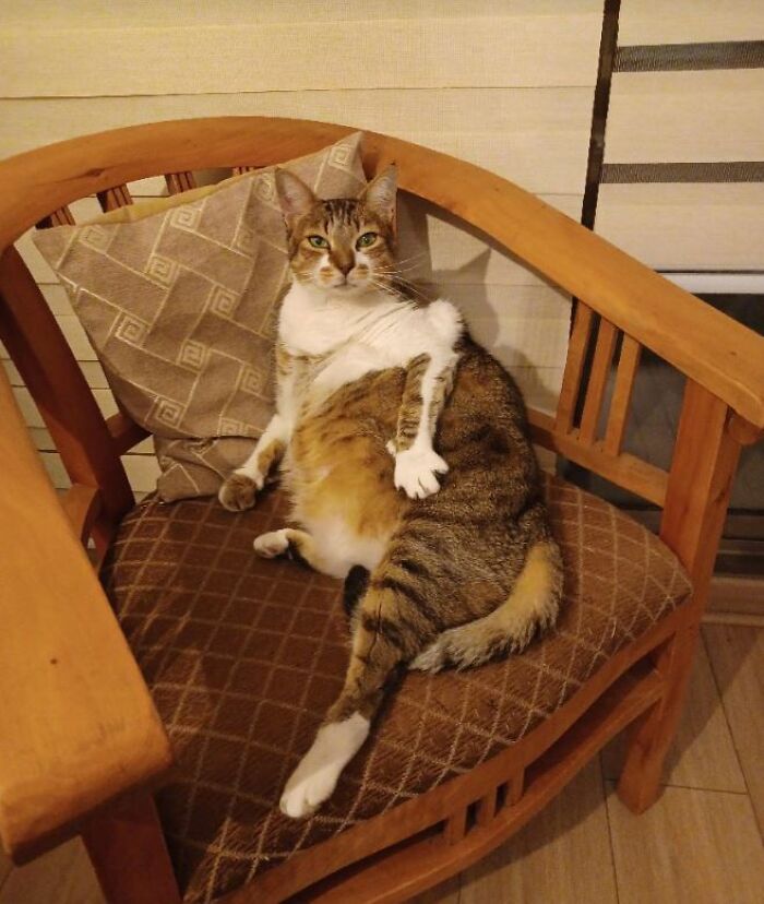 I-Am-A-Photographer-Tiktok-Trend-Funny