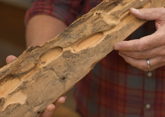 30 Dumb Ways People Accidentally Damaged Their Homes