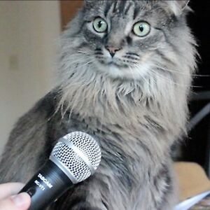 phil_wadsworth avatar