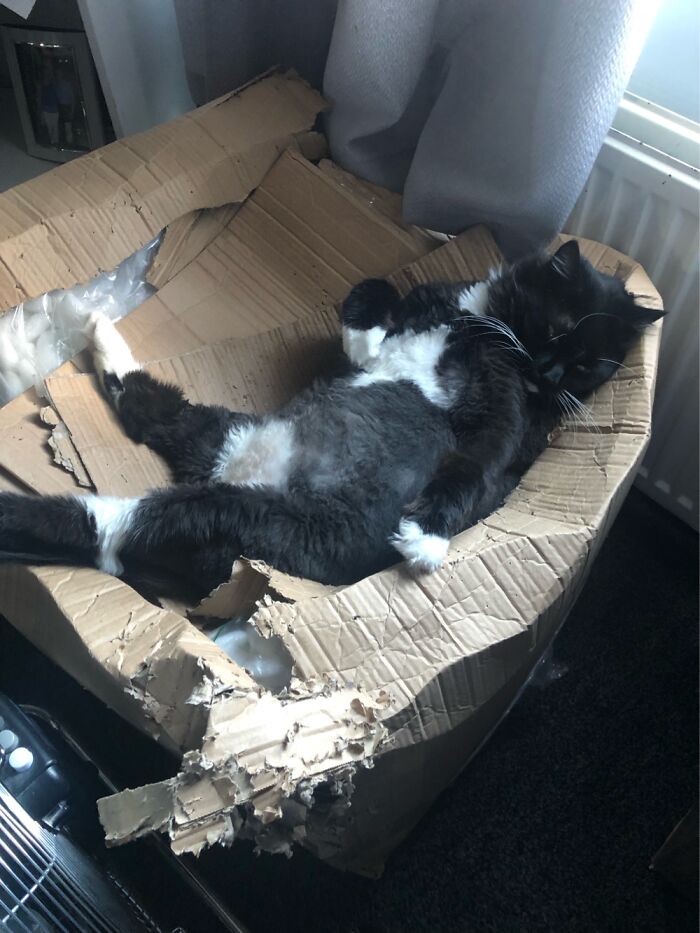 I’ve Lost My Box Of Packing Peanuts To Negan