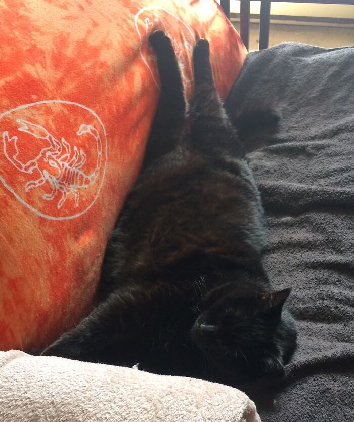 Izzi Likes To S-T-R-E-T-C-H Out At Nap-Time