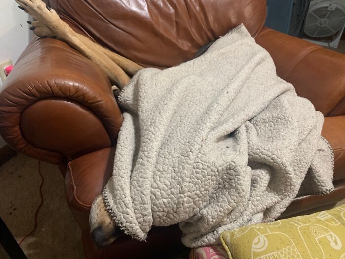 Bootsy Collins Sleeps Like A 1980s Teenager Talking On The Phone