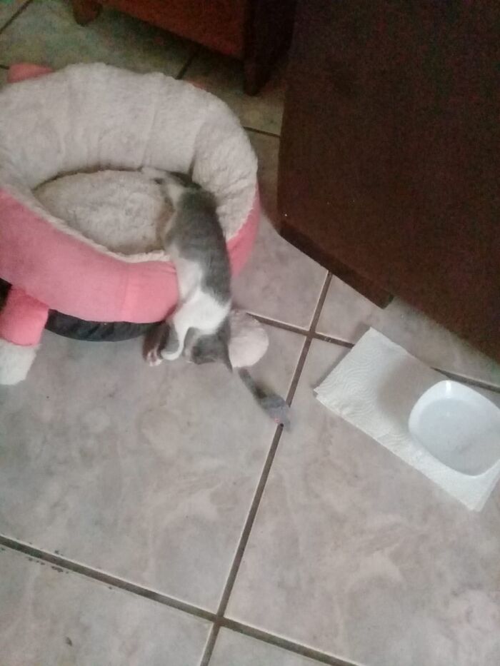 She Actually Likes Sleeping Like This