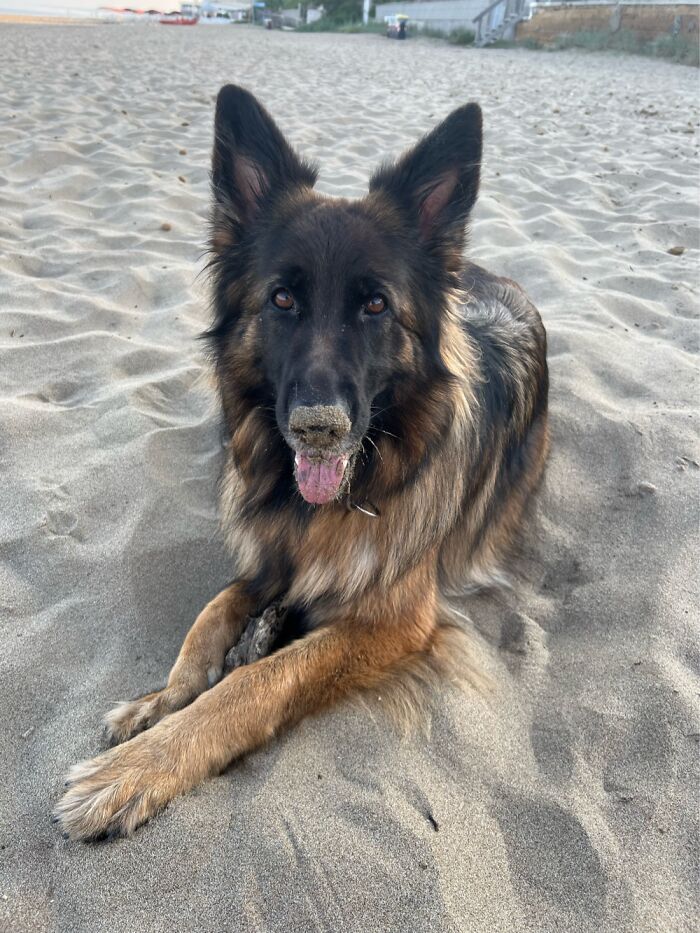 Chilling At The Beach