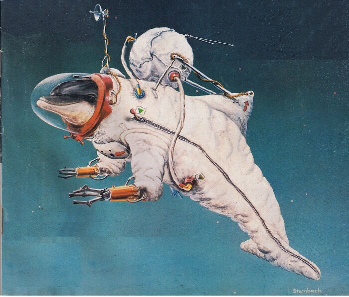 Cetacean Spacesuit By Rick Sternbach
