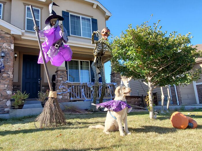 Our Dog Poses With Neighbors' Halloween Decorations (14 Pics)