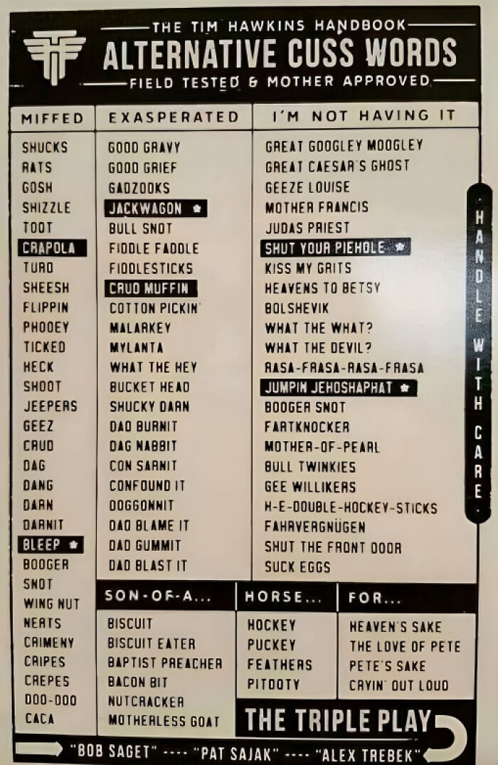 Alternative Cuss Words For All The Parents Currently Homeschooling