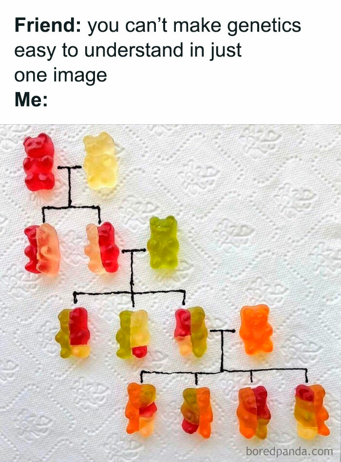 Genetics For Dummies