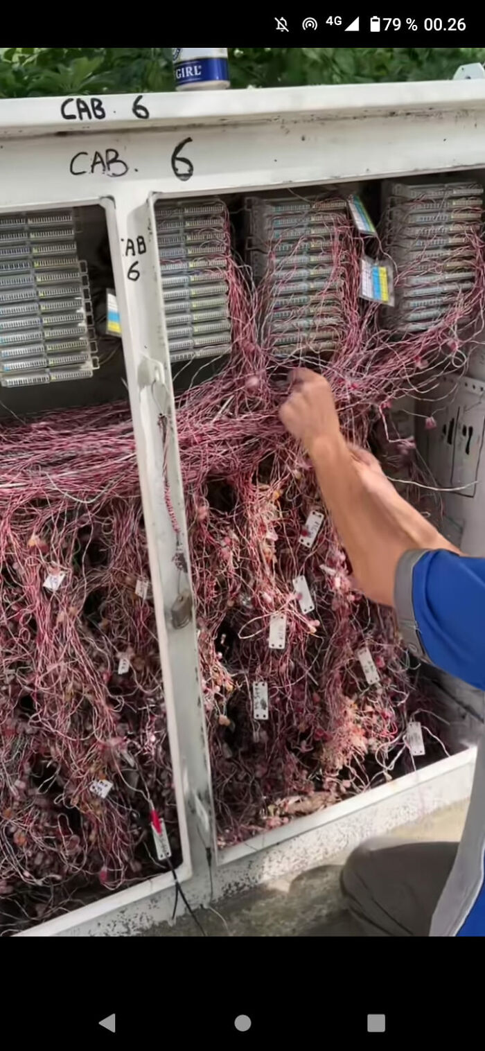 Think My Ocd Needs A Re-Wire