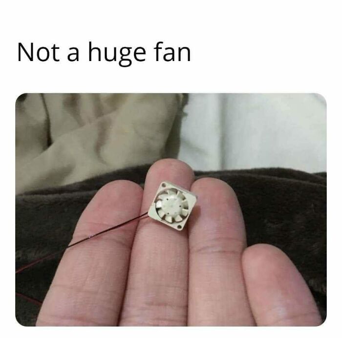 Fan