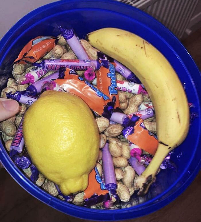 I’ve Always Wanted To Be The Jerk Who Gives Fudge, Fruit, And Nuts For Halloween