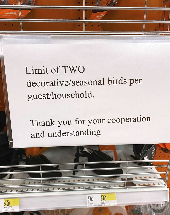Went To Target And Specifically Needed A Bunch Of Birds For A DIY Halloween Prop