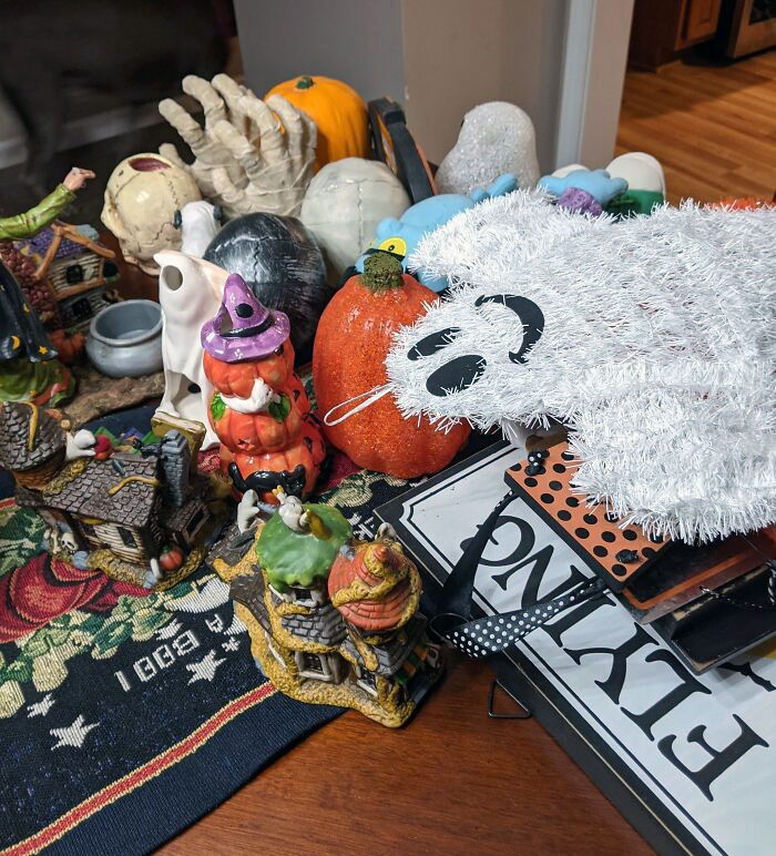 My Dad Taking Down The Halloween Stuff On Halloween Night