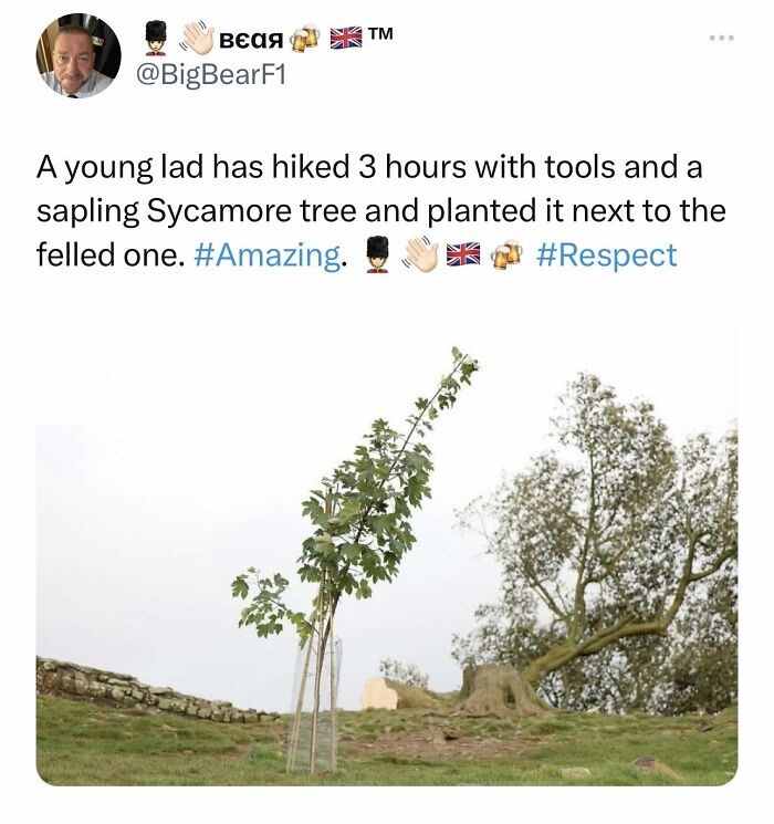 Jokes-Great-British-Memes