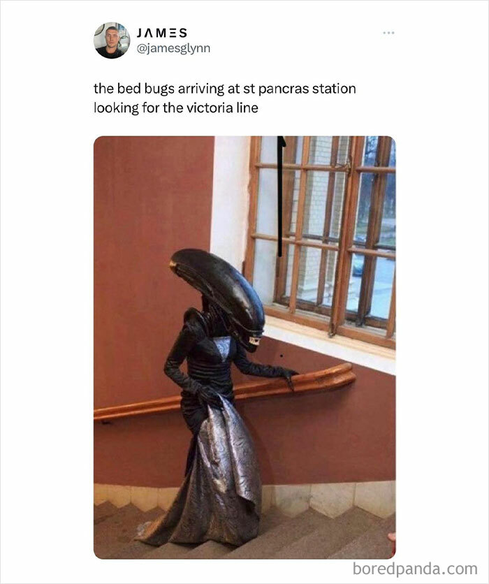 Jokes-Great-British-Memes