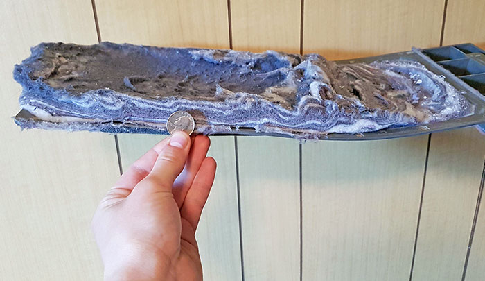 My New Roommate Was Complaining About Her Dryer Not Working Very Well, So I Checked The Lint Trap. Coin For Size Reference