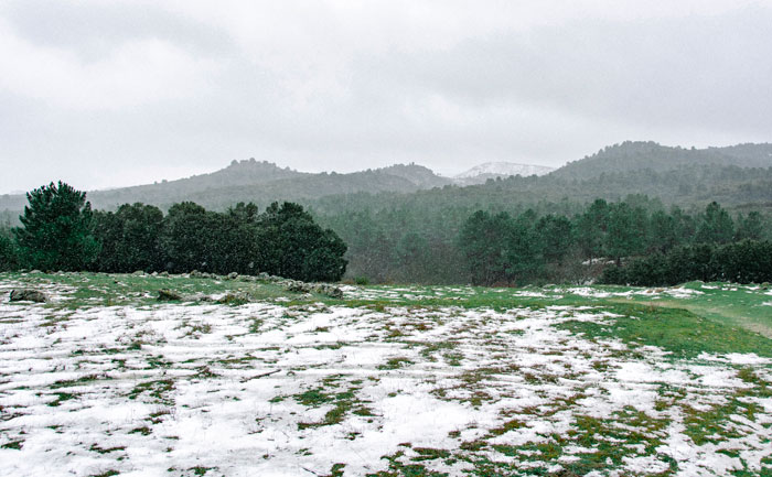 A grass field with a snow on it 