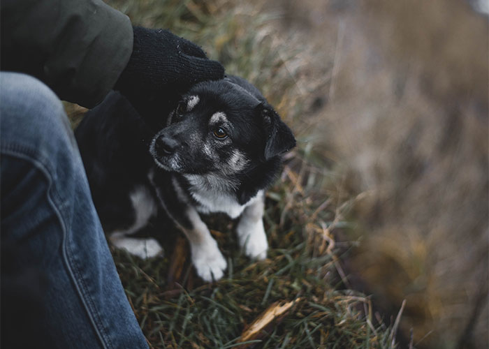 “I Made A Left Turn Instead Of A Right Turn”: 30 Complete Accidents That Changed People’s Lives