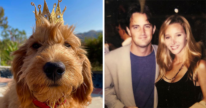 Lisa Kudrow “Wants To Adopt Matthew Perry’s Dog” As She Shares Sad Theory Behind His Death