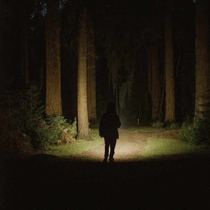 A person standing in the middle of the woods with torch - 4