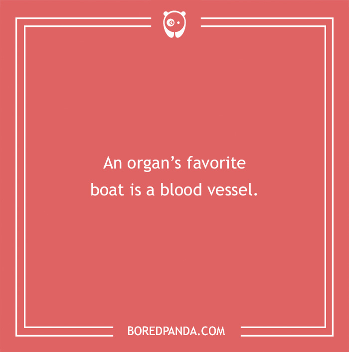 Medical pun about an organ's favorite boat being a blood vessel, on a red background. - 13