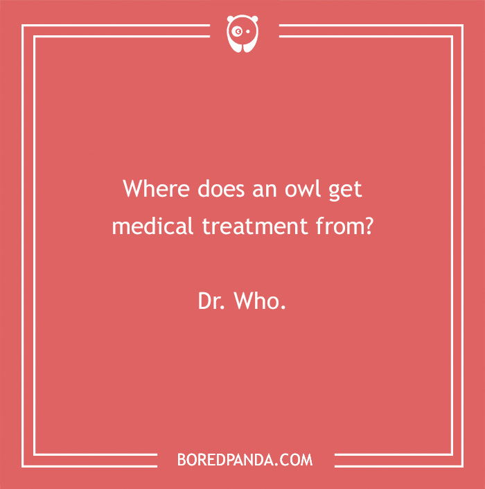 Text reads a medical pun about an owl and Dr. Who, on a red background with a bear icon. - 17