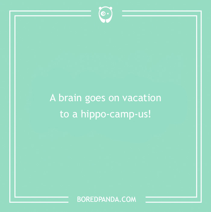 Medical pun text on a green background: "A brain goes on vacation to a hippo-camp-us!"