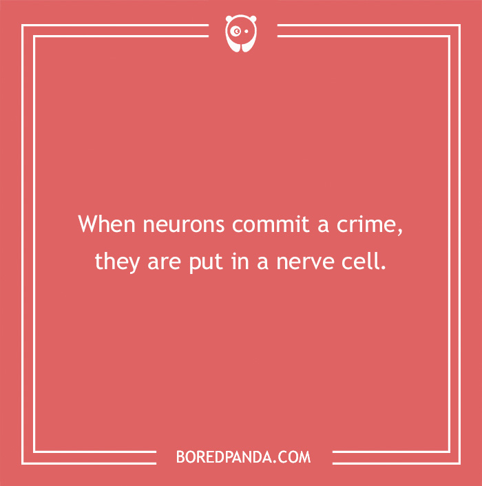 Text on an image reading "When neurons commit a crime, they are put in a nerve cell," featuring a medical pun.