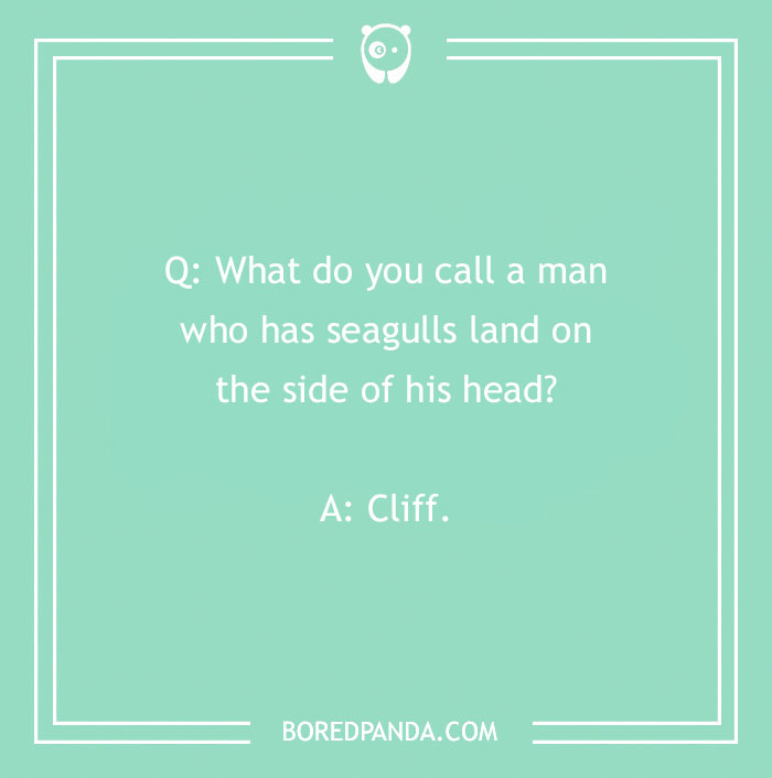 Green background with a name joke about a man named Cliff, featuring a seagull punchline. - 16