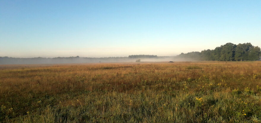 Diverse Landscapes Of The Netherlands