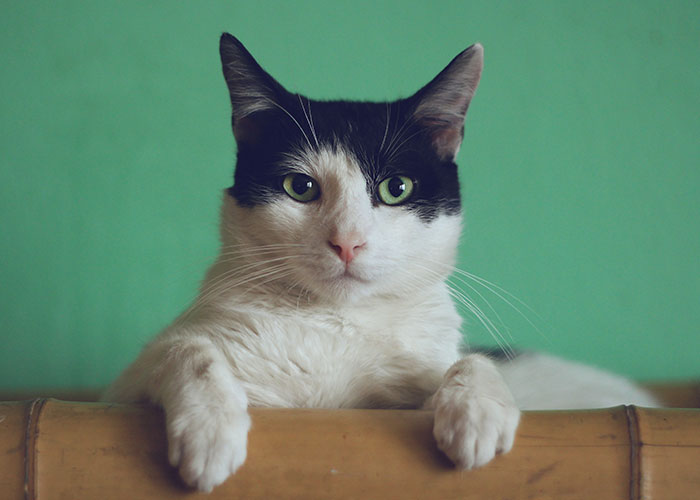 30 People Share What Their Date Said That Made Them Instantly Think 'Run!'