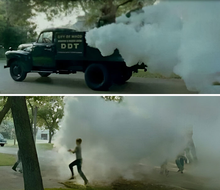 Man We Were Stupid- Chasing The Mosquito Truck In The Early 70s