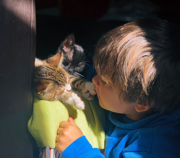 Woman Is Disappointed Friend Won&rsquo;t Get Rid Of Her Cats Now That She&rsquo;s Pregnant To Protect Her Baby