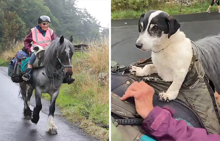 82 Y.O. Hiker Just Returned From Epic 600-Mile Horseback Journey With Her 10 Y.O. Dog In Tow