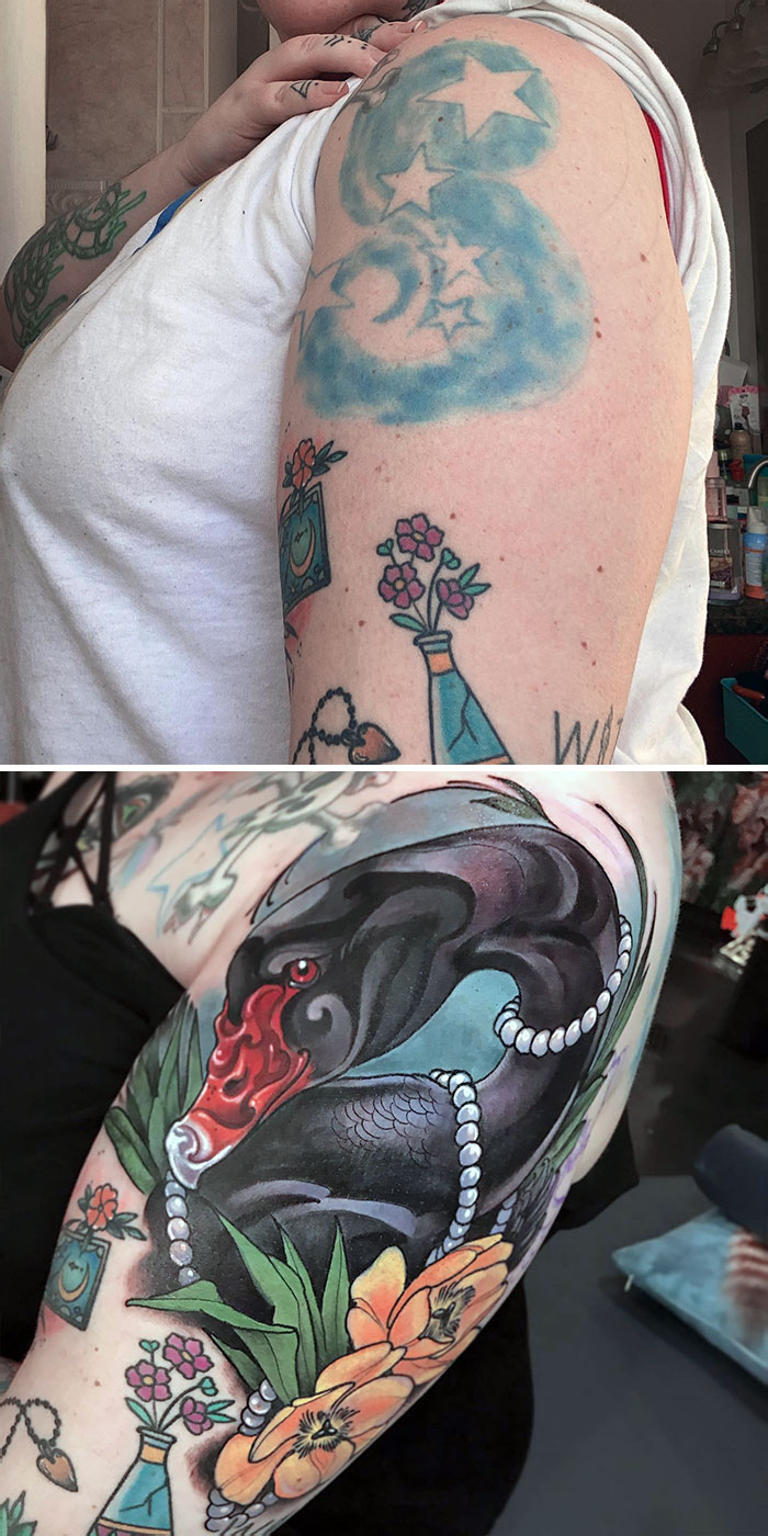 Cute Black Swan With Yellow Tulips