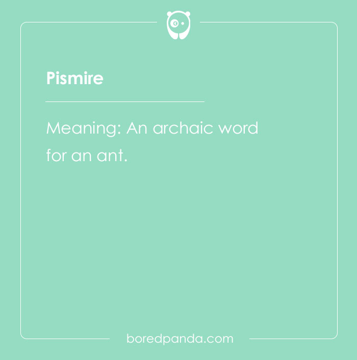 185 Outdated Words That Nobody Uses Anymore (Probably)