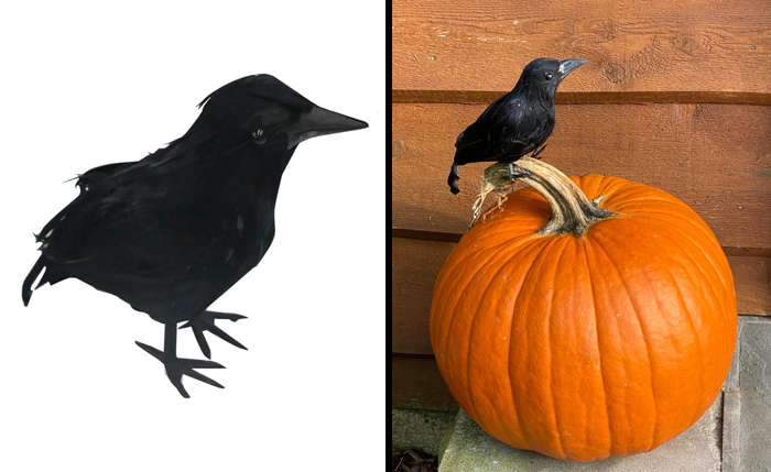 Funpeny Halloween Black Feathered Crows (6 Pack): The Perfect Prop To Create A Genuinely Scary Atmosphere And Spook Your Guests.