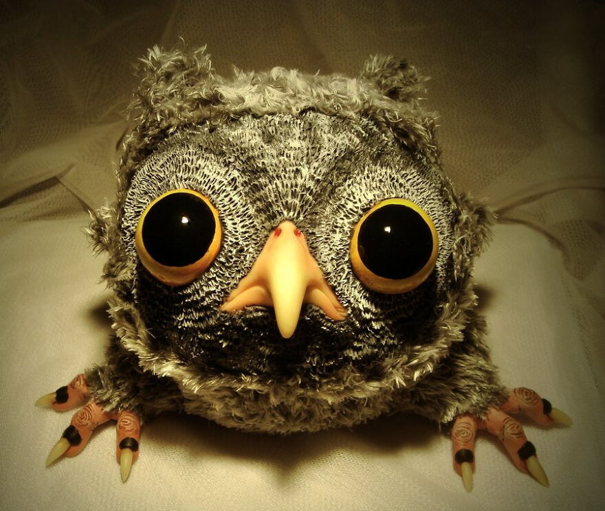 I Collect Pictures Of Funny Owls And These Are My Favorites