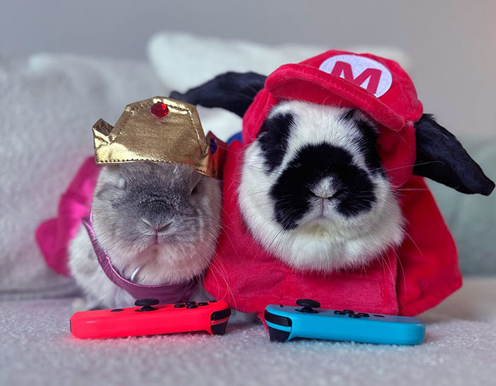 Two rabbits in creative pet Halloween costumes posing with video game controllers on a soft surface.